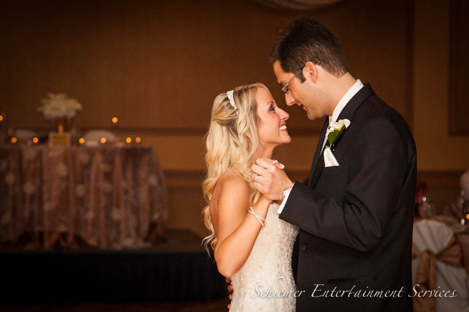 Erica And John Embassy Suites Hotel Dj Pittsburgh Wedding Dj Disc Jockey Eric Schiemer 4617