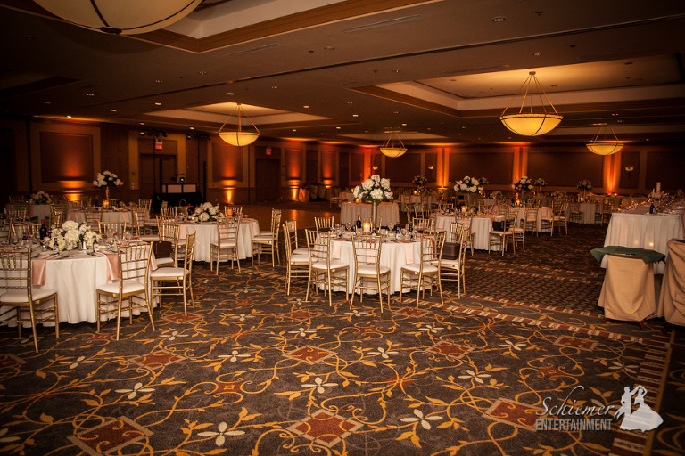 Embassy Suites Wedding DJ-2